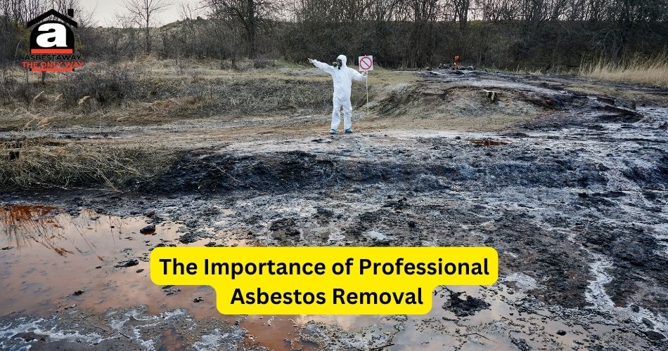 The-Importance-of-Professional-Asbestos-Removal