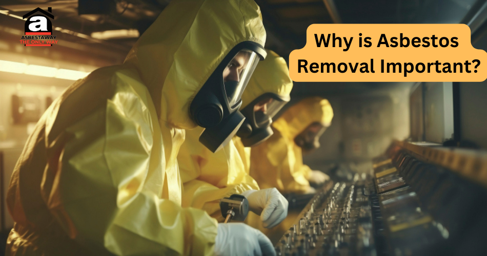 Why is Asbestos Removal Important?
