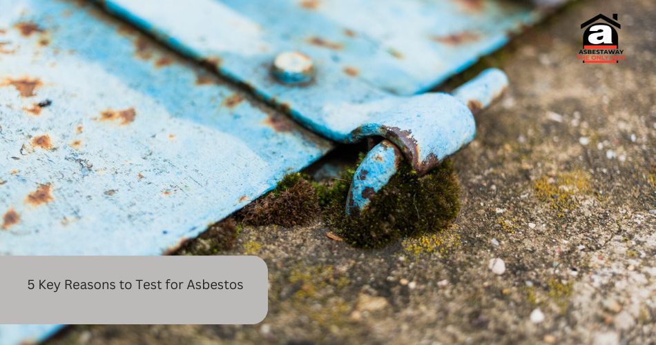 5 Key Reasons to Test for Asbestos