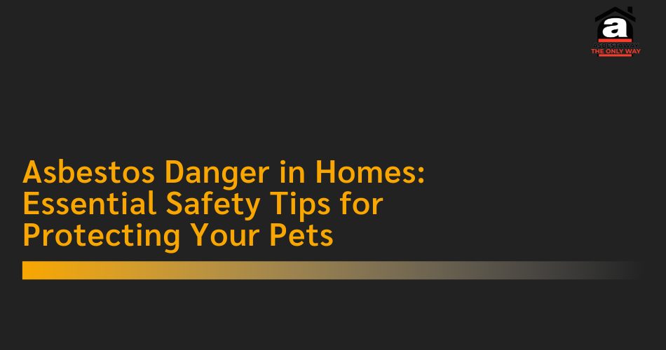 Asbestos Danger in Homes: Essential Safety Tips for Protecting Your Pets