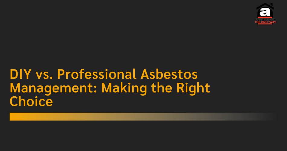 DIY vs. Professional Asbestos Management: Making the Right Choice