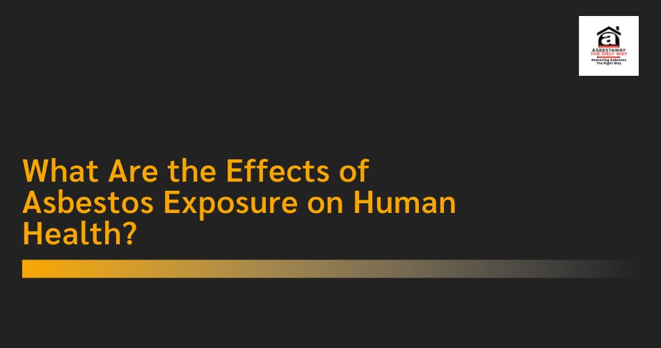 Effects of Asbestos Exposure on Human Health